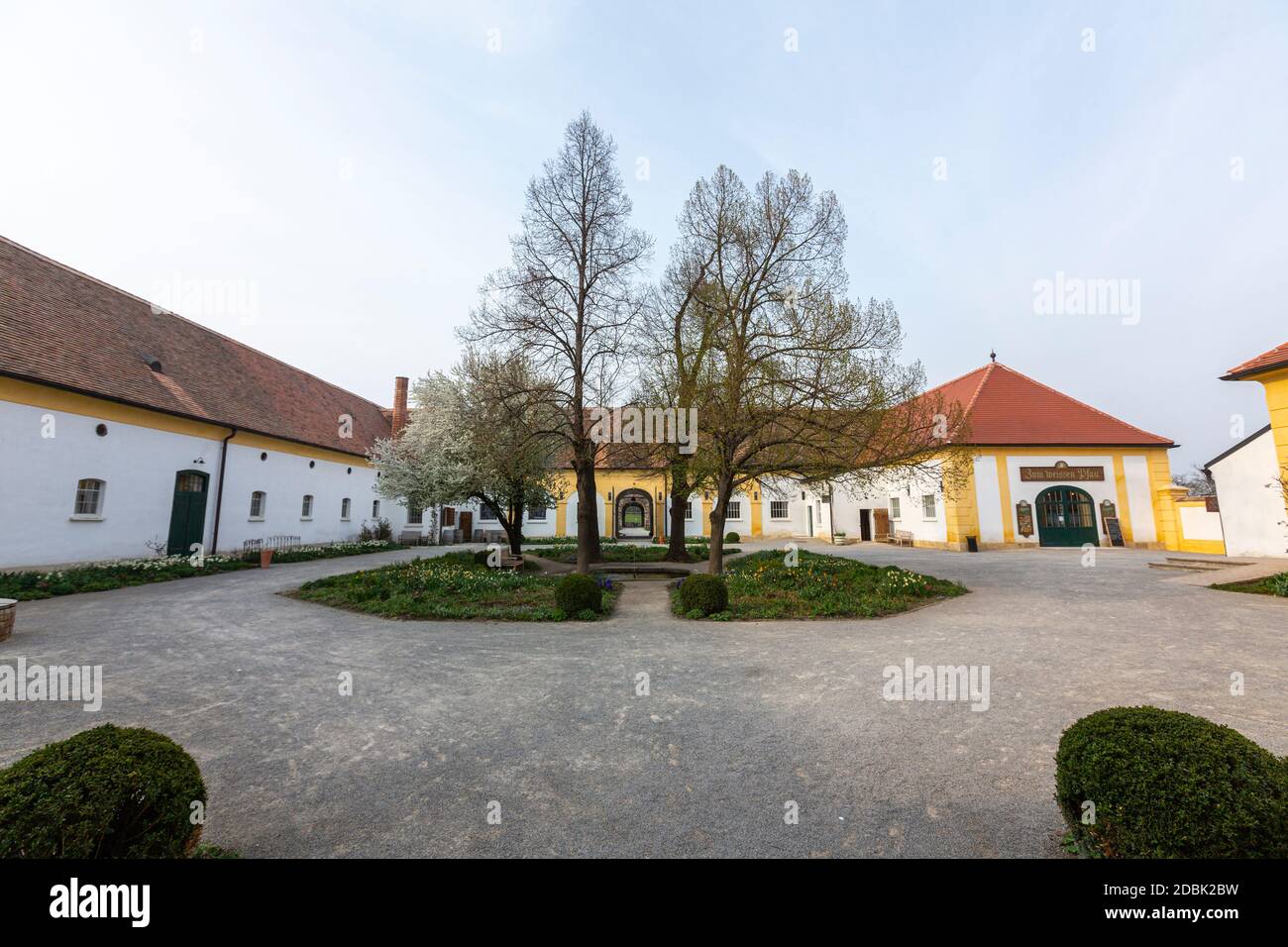 Schloss Hof, style baroque par l'architecte Johann Lukas von Hildebrandt , Marchfeld, Autriche Banque D'Images