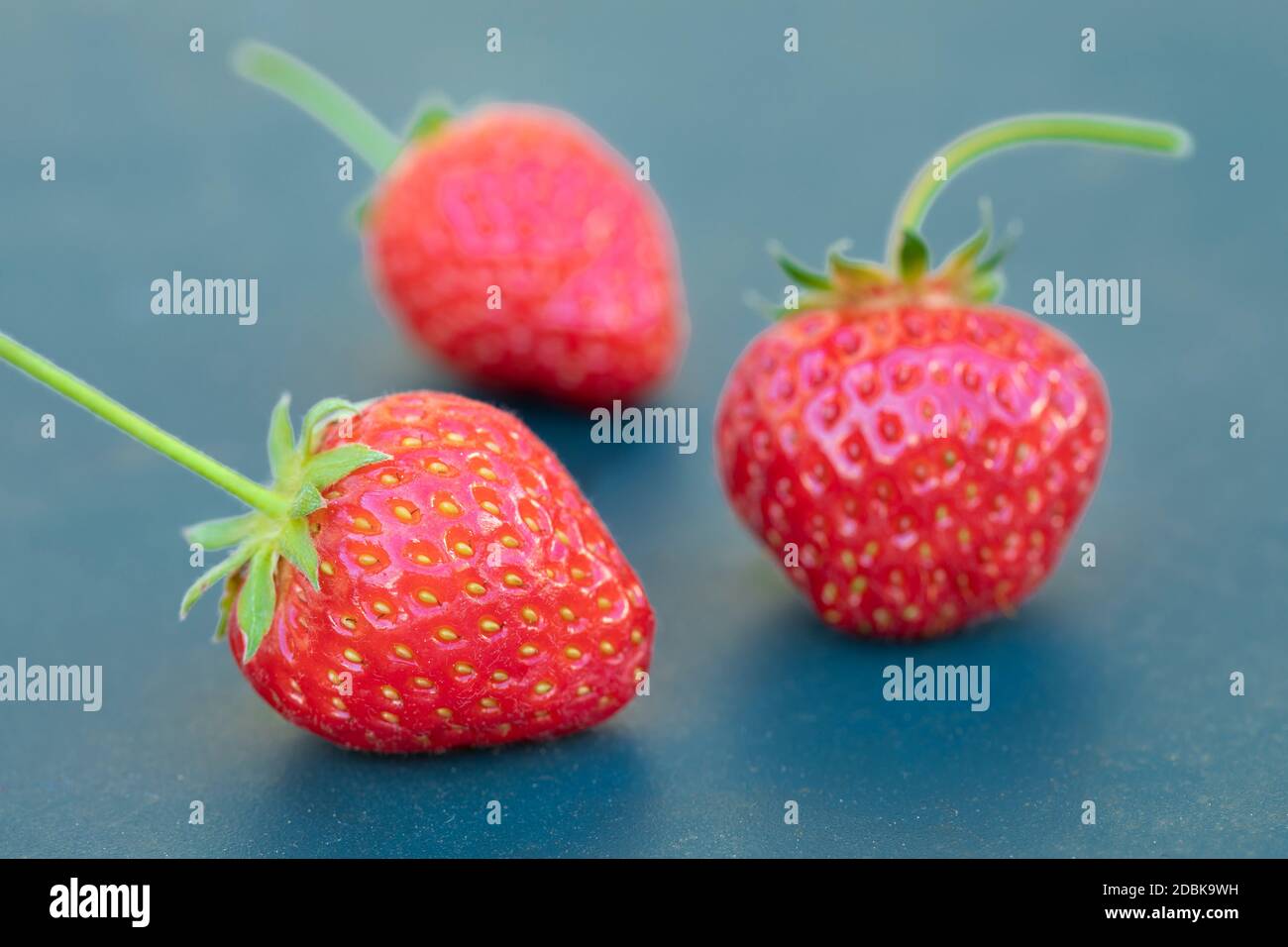 Groupe de trois fraises mûres sur une table Banque D'Images