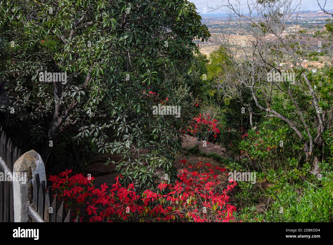 Ambohimanga - vue de la colline bleue à la vallée Banque D'Images