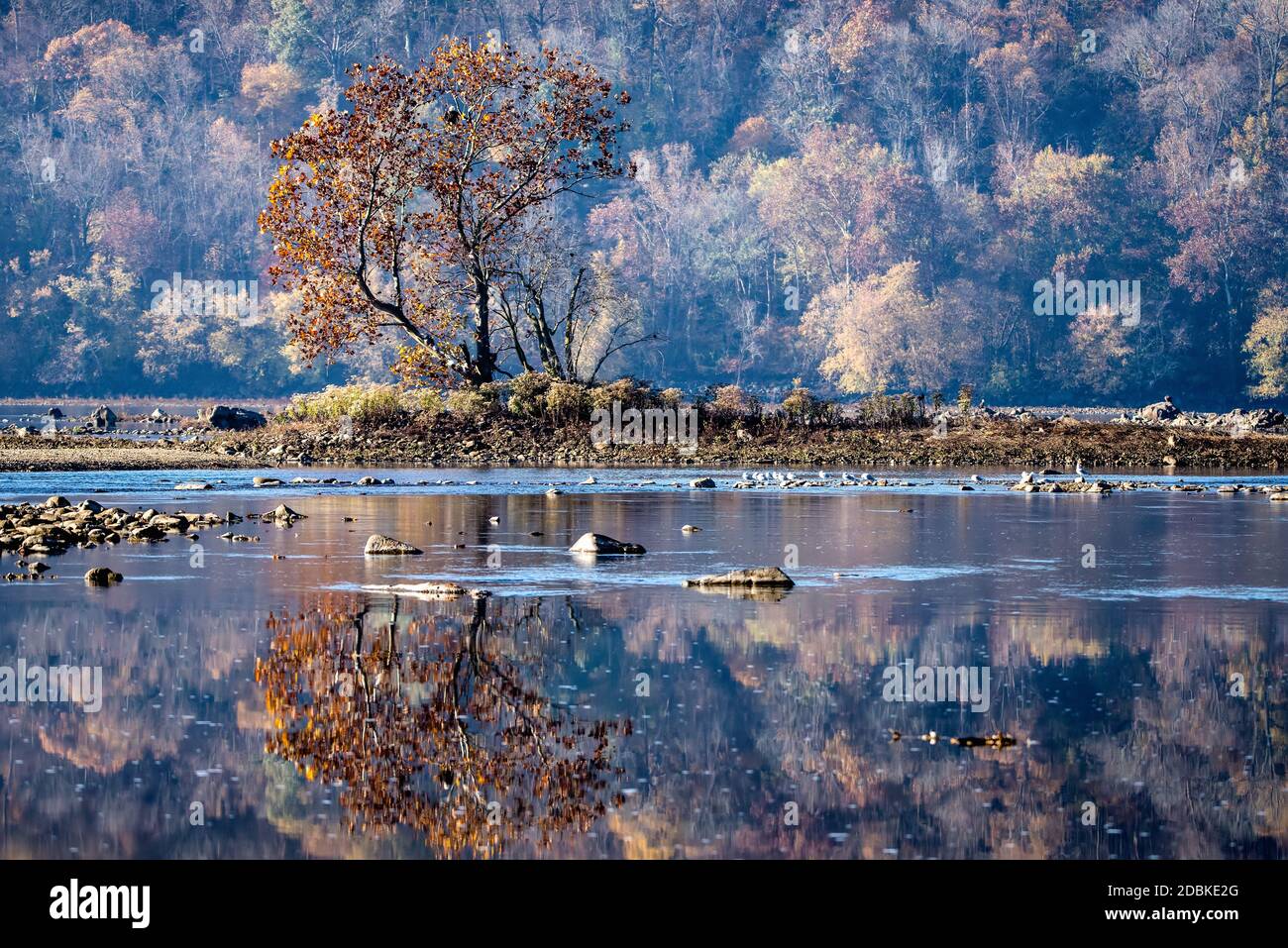 Brume matinale et réflexions sur la rivière Susquehanna, Maryland, États-Unis Banque D'Images