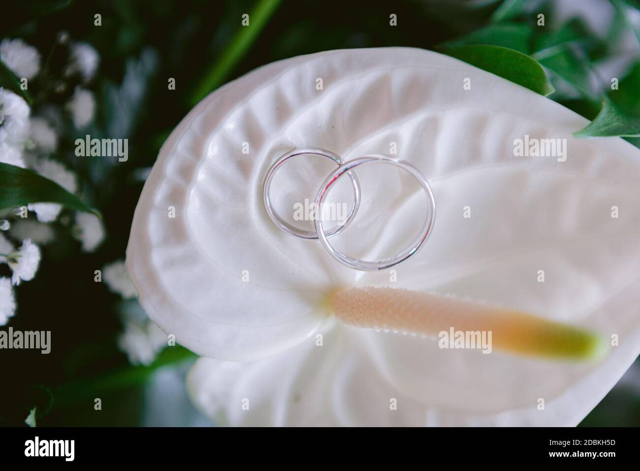 Anneaux de mariage gros plan sur un bouquet de mariage composé d'anthurium blanc, de gypsophila et de feuilles vertes Banque D'Images