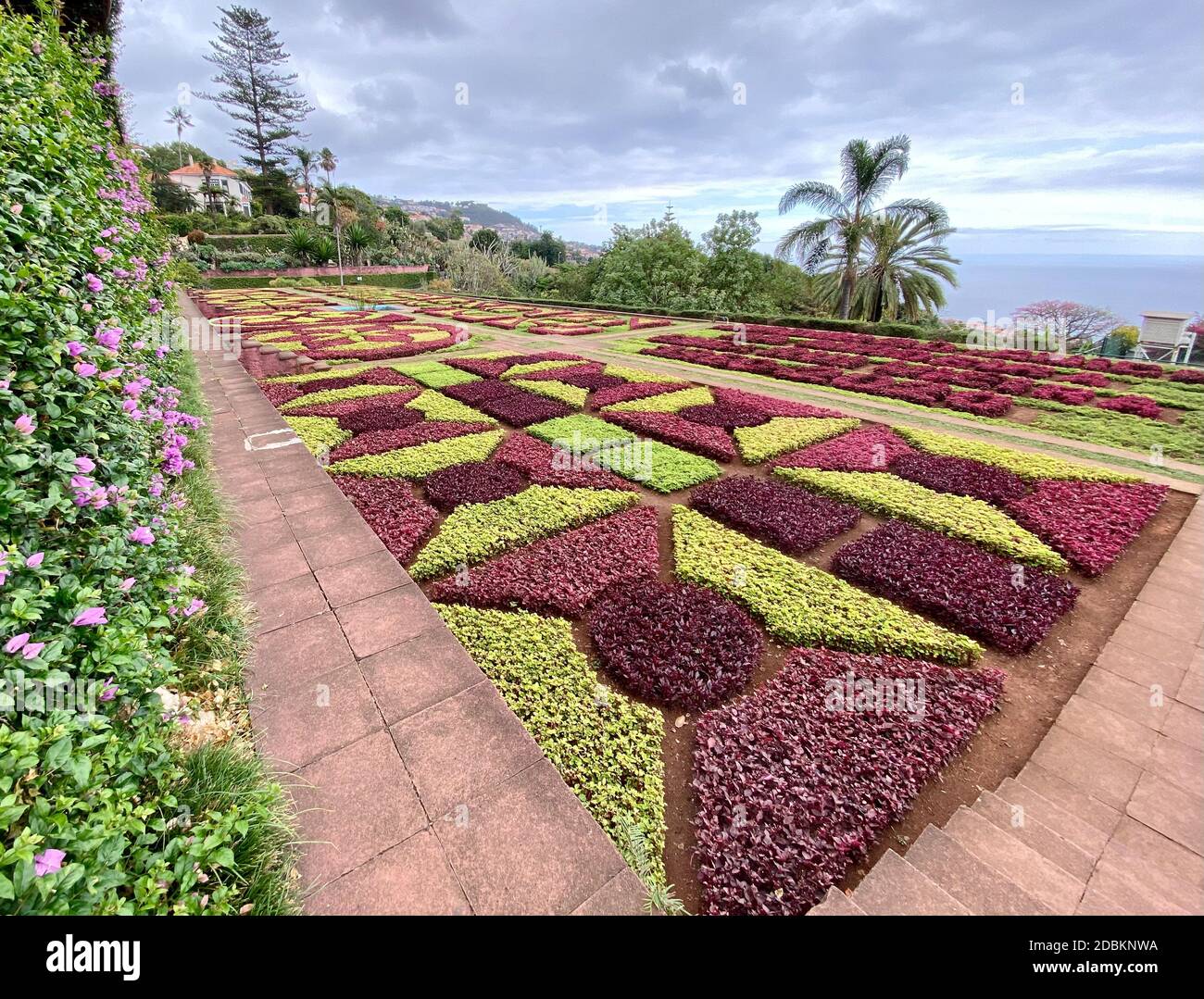Jardins botaniques de Madère Banque D'Images