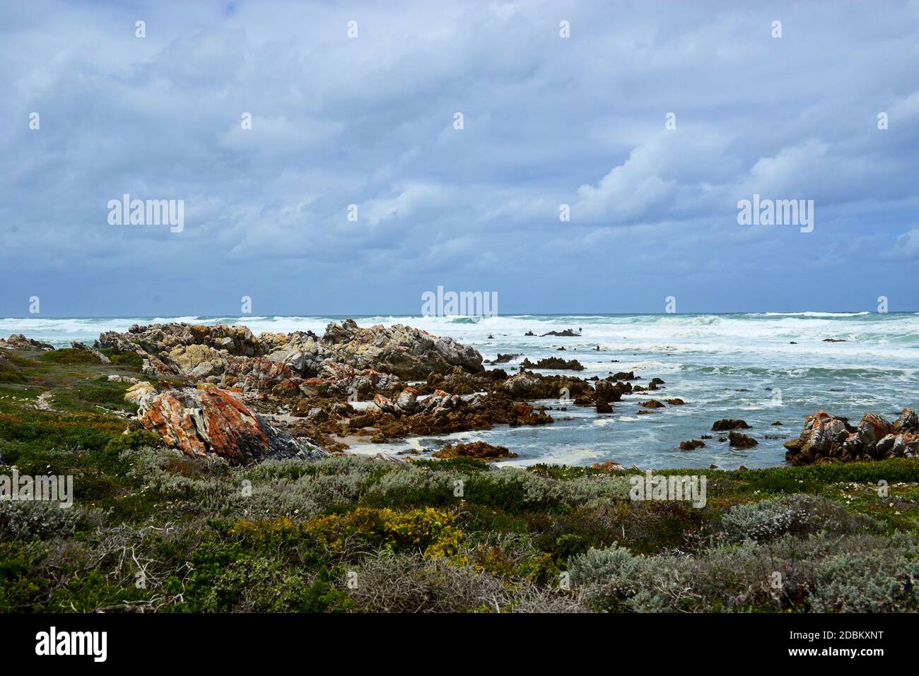 Cap Agulhas, Afrique du Sud Banque D'Images