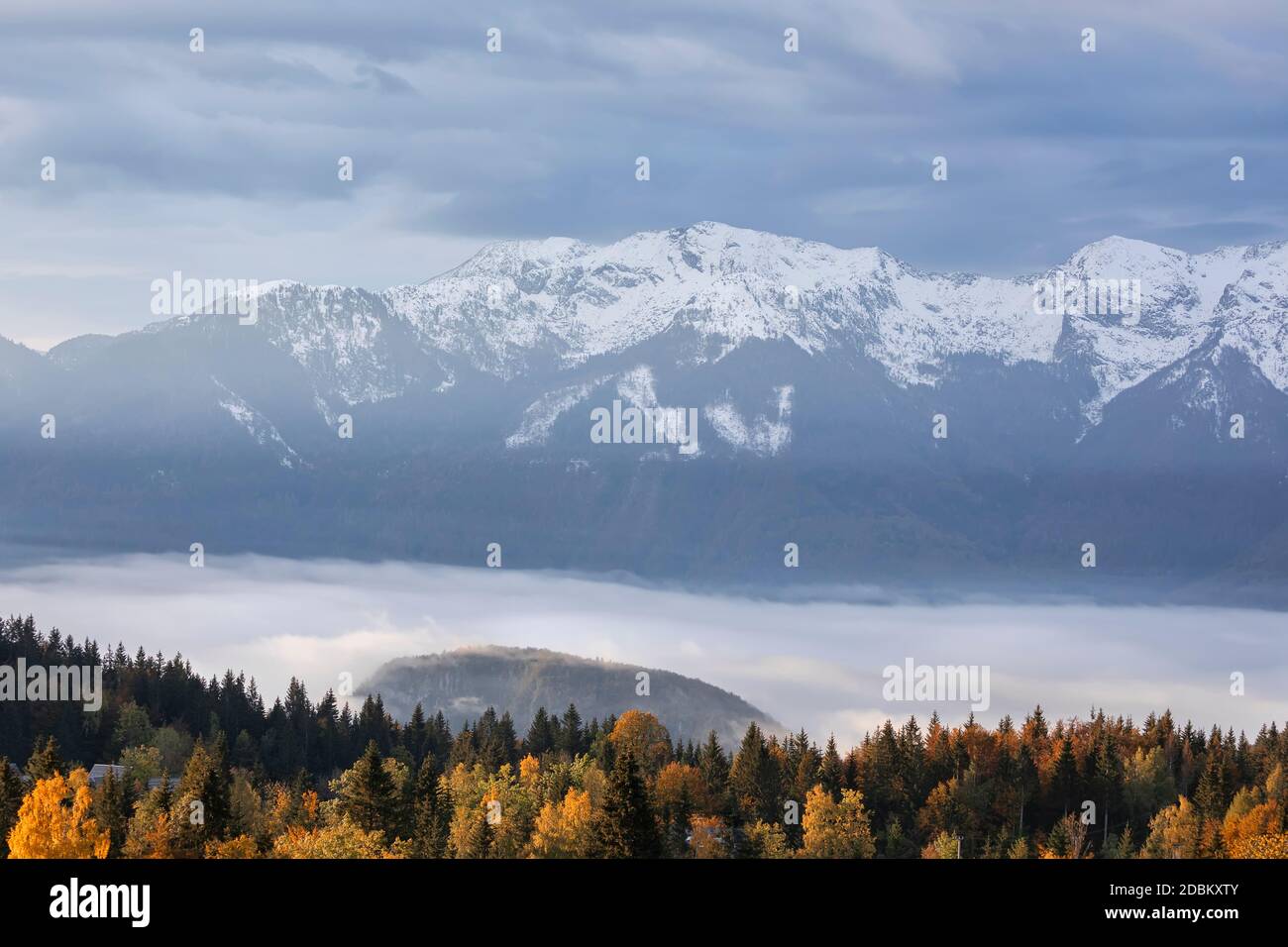 Forêt d'automne et sommets enneigés dans les Alpes, Slovénie Banque D'Images