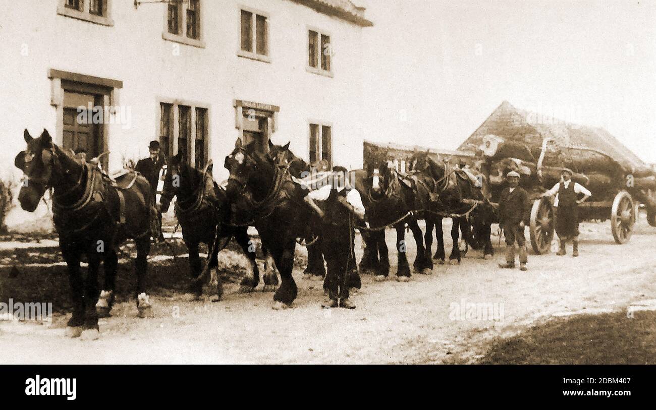 Une vieille photo montrant une équipe de six chevaux tirant une charrette de bois à travers le village de Sneaton (Yorkshire) Royaume-Uni en 1908. Le bâtiment est la maison publique Wilson Arms. Banque D'Images