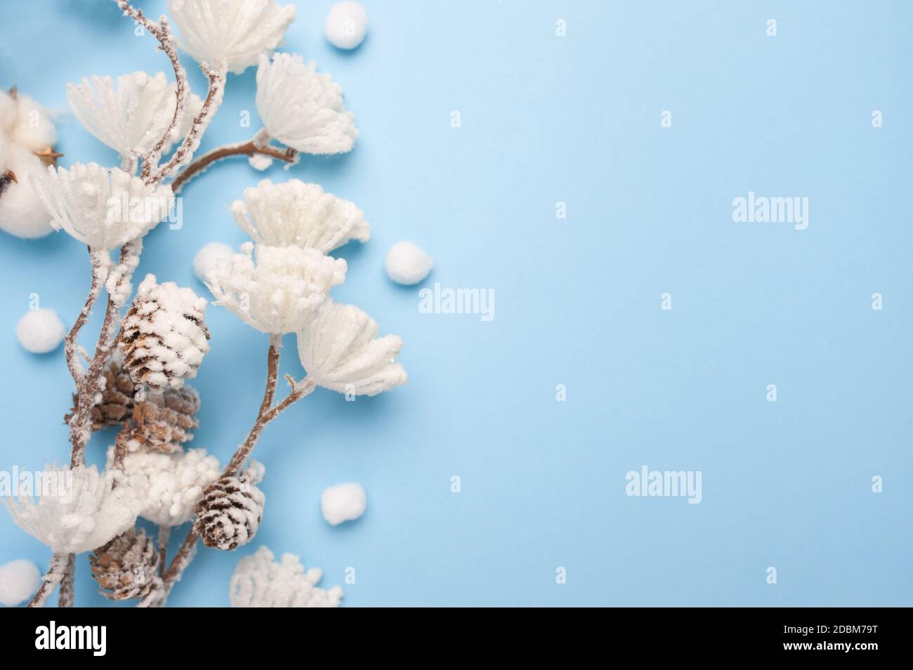 Maquette de feuilles d'eucalyptus et de coton avec place pour le texte sur fond bleu. Couronne en branches, cônes. Flat lay, vue de dessus Banque D'Images