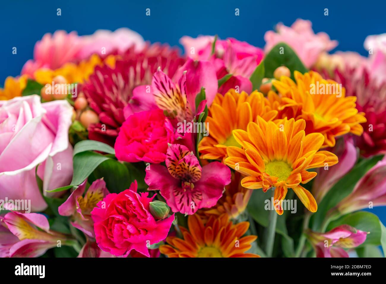 gros plan d'un bouquet de fleurs Banque D'Images