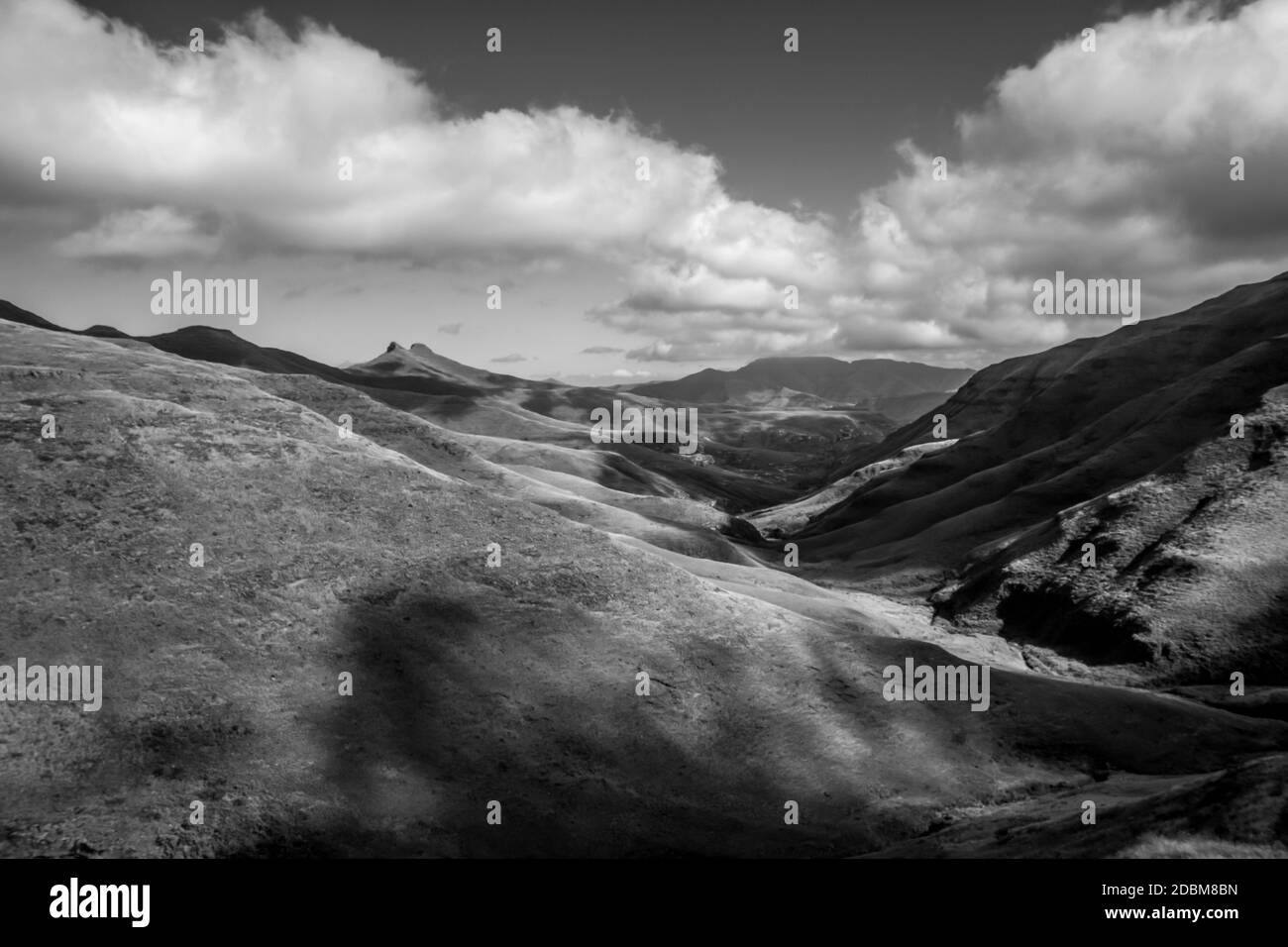 Vue spectaculaire sur les montagnes du Drakensberg, couvertes d'herbe, du parc national des Golden Gate Highlands, en Afrique du Sud, en Monochrome Banque D'Images