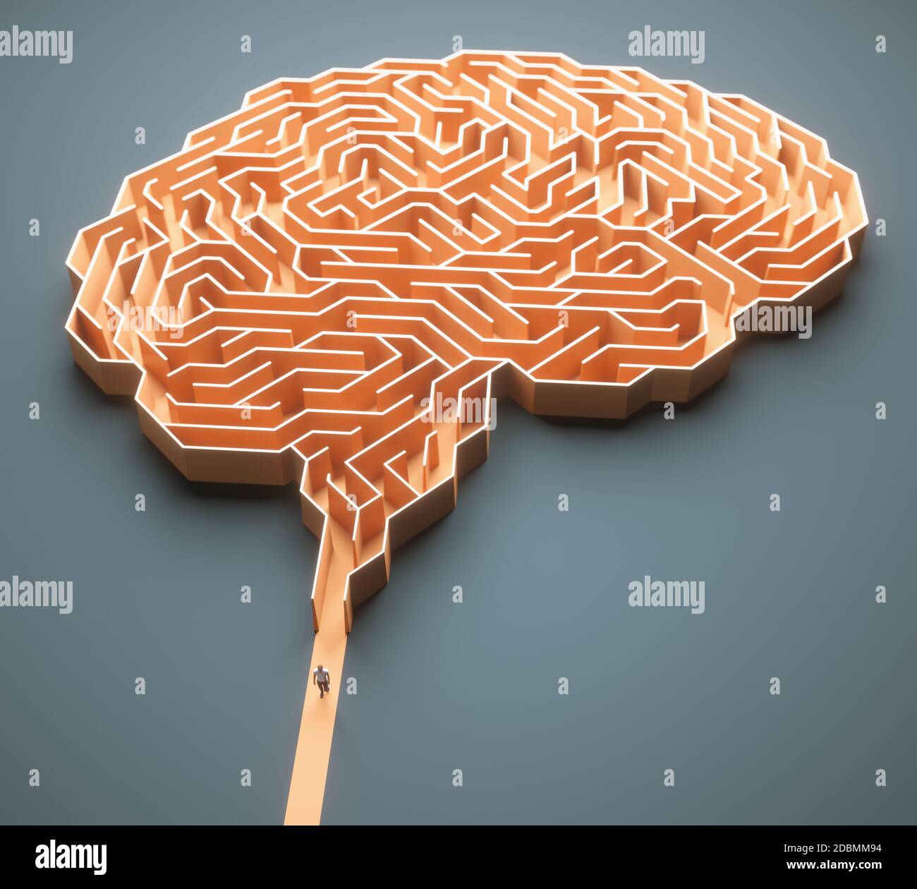 Labyrinthe en forme de cerveau. Image conceptuelle de la science et de la médecine. Illustration 3D. Banque D'Images