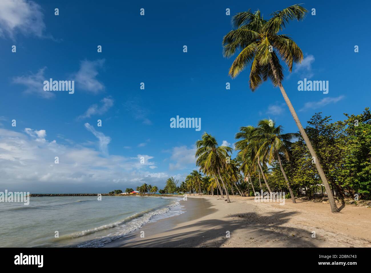 Paradise tropical beach et de palmiers, le Gosier en Guadeloupe, Caraïbes Banque D'Images