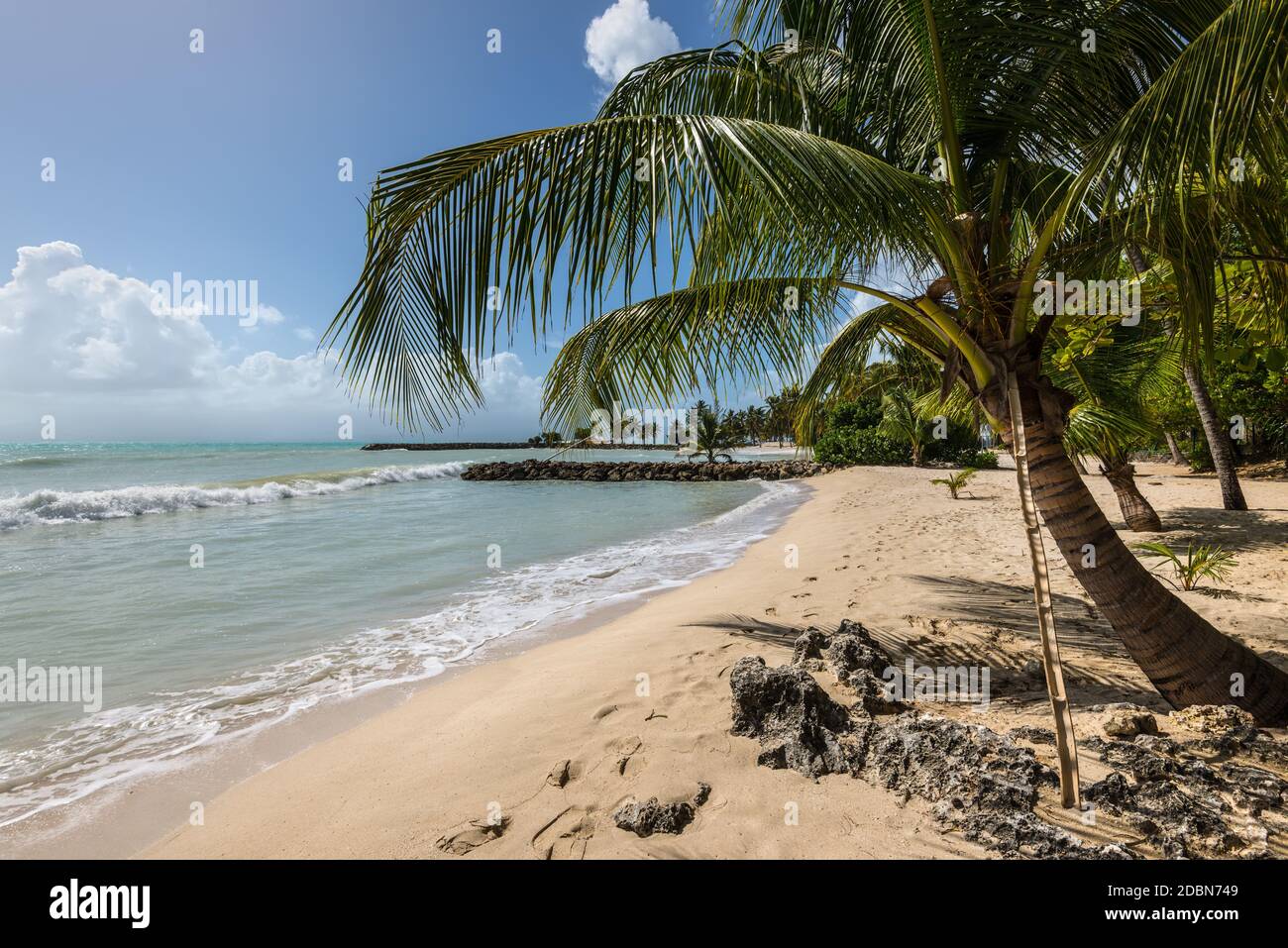 Paradise tropical beach et de palmiers, le Gosier en Guadeloupe, l'île des Caraïbes. Voyage, Tourisme et vacances Concept. Banque D'Images