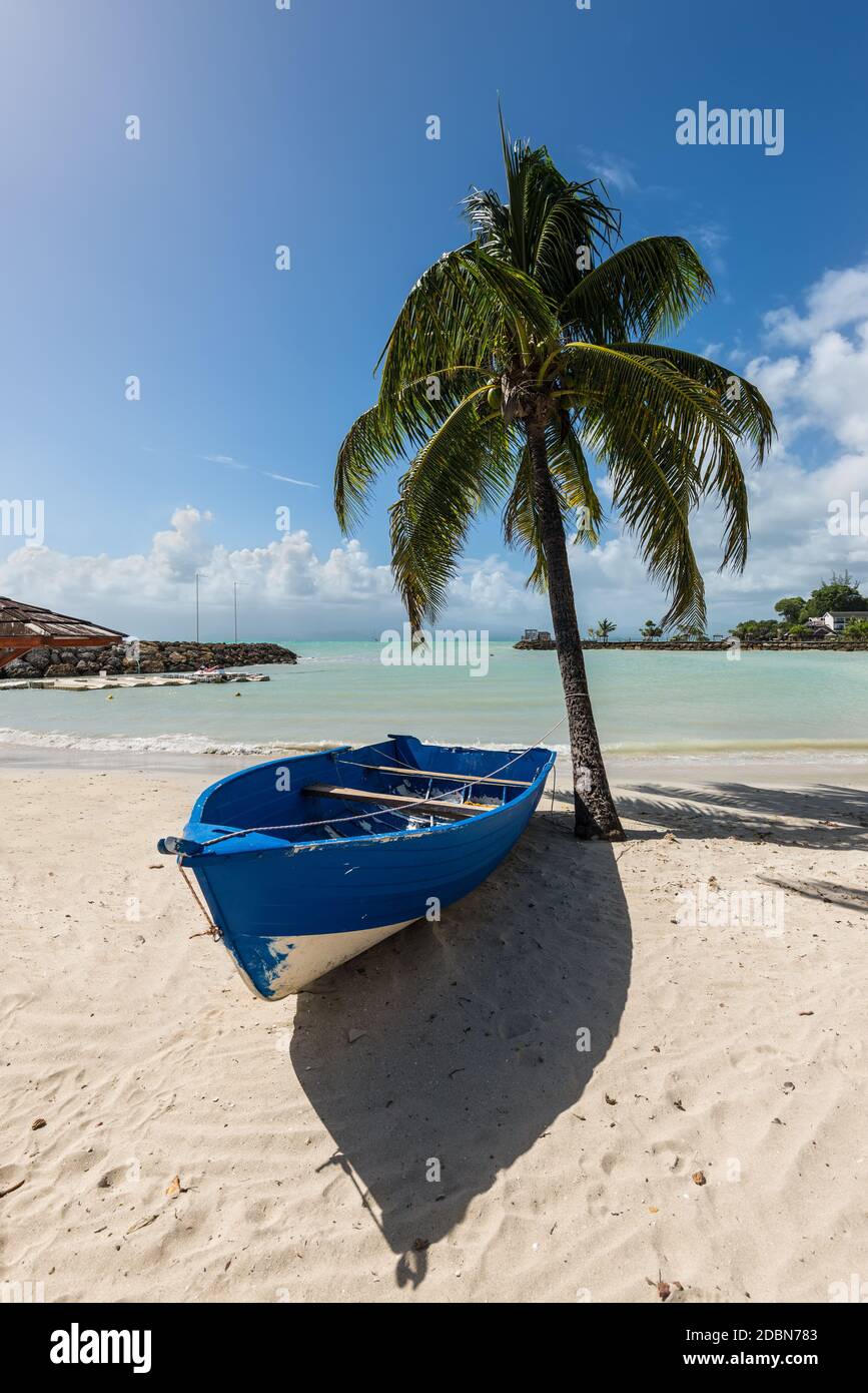 Bateau en bois sous un palmier sur l'on tropical beach - l'île des Caraïbes de Guadeloupe Banque D'Images