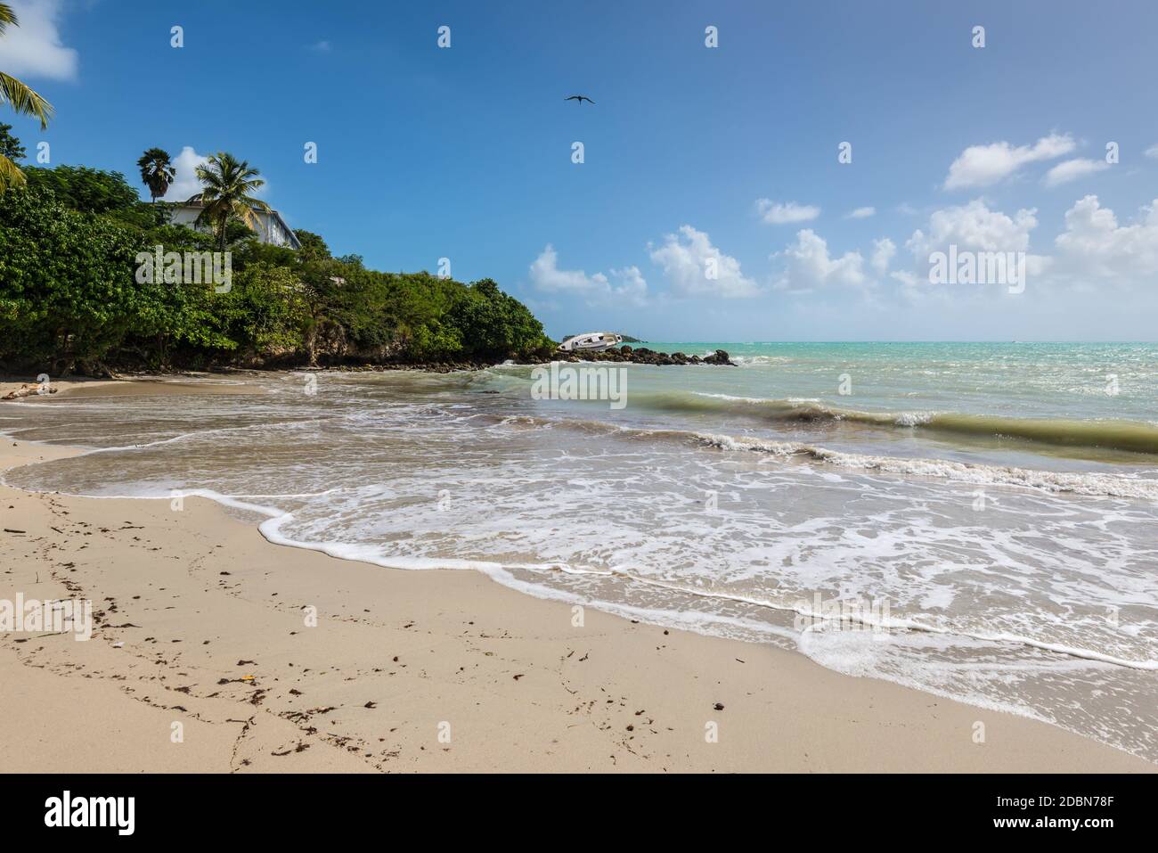 Paradise tropical beach, le Gosier en Guadeloupe, l'île des Caraïbes. Un voilier a été détruit et abandonné sur la rive après un ouragan. Banque D'Images