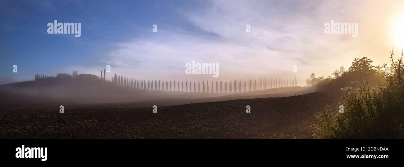 La ruelle des cyprès, couverte de prés brumeux et de champs, a tiré au début de la matinée brumeux dans la région de Toscane, en Italie Banque D'Images