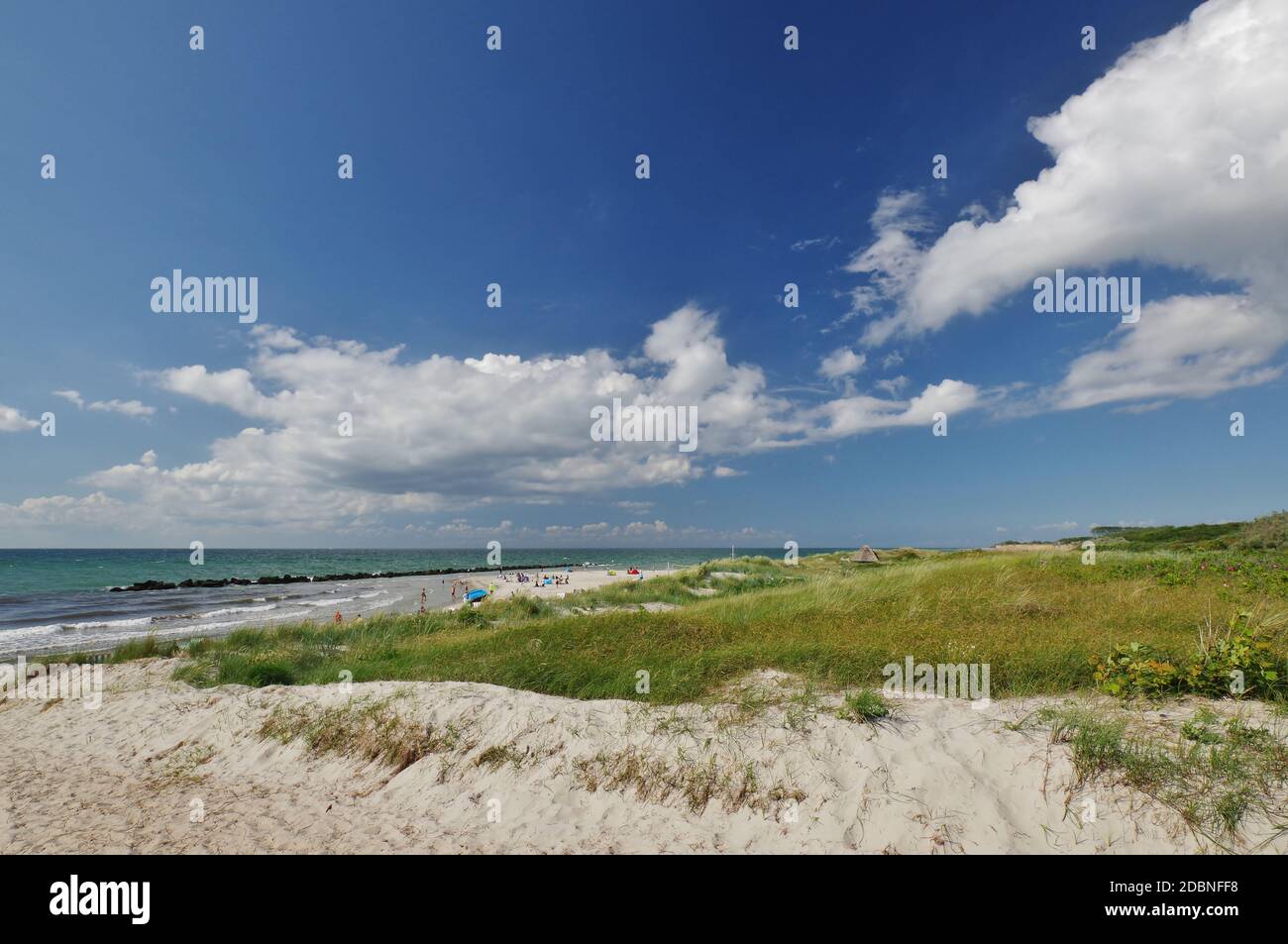 Sur la plage, Wustrow, Peninsula 'Fischland-Darss-Zingst', Parc National 'Vorpommmersche Boddenlandschaft', Mer Baltique, Mecklembourg-Poméranie-Occidentale, Allemagne Banque D'Images
