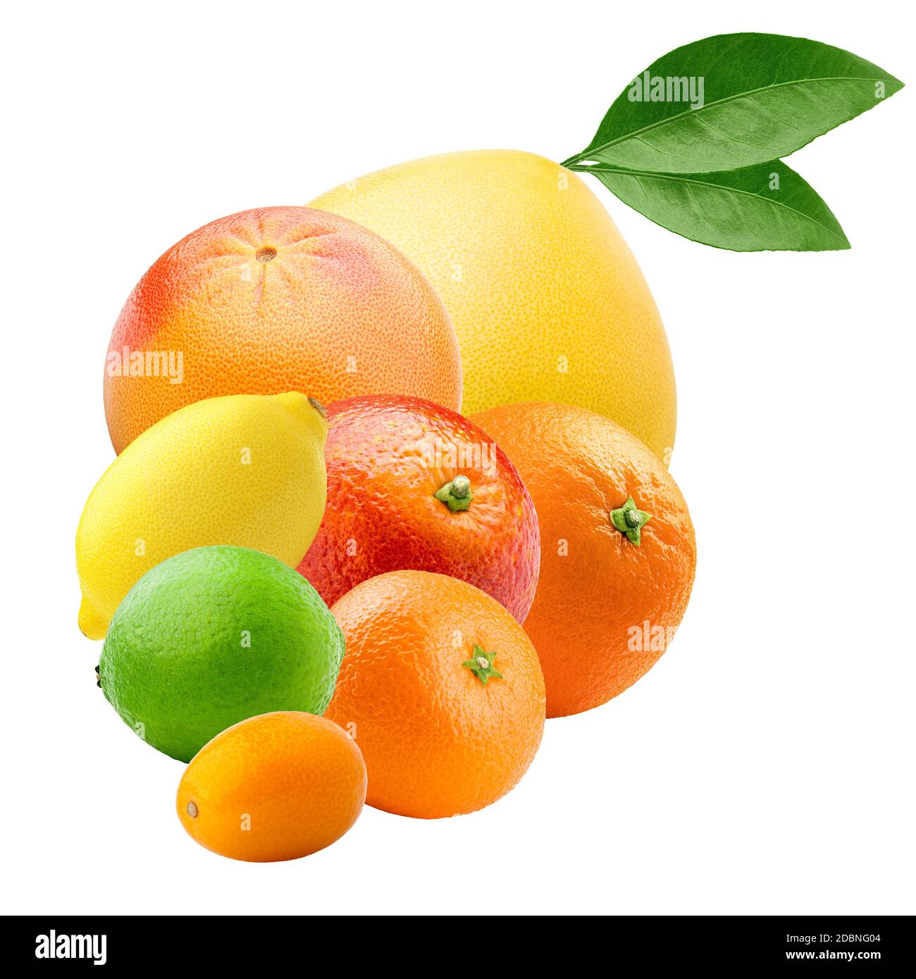 agrumes isolés sur fond blanc, pomelo, pamplemousse, orange, citron, mandarine, citron vert, kumquat, masque Banque D'Images