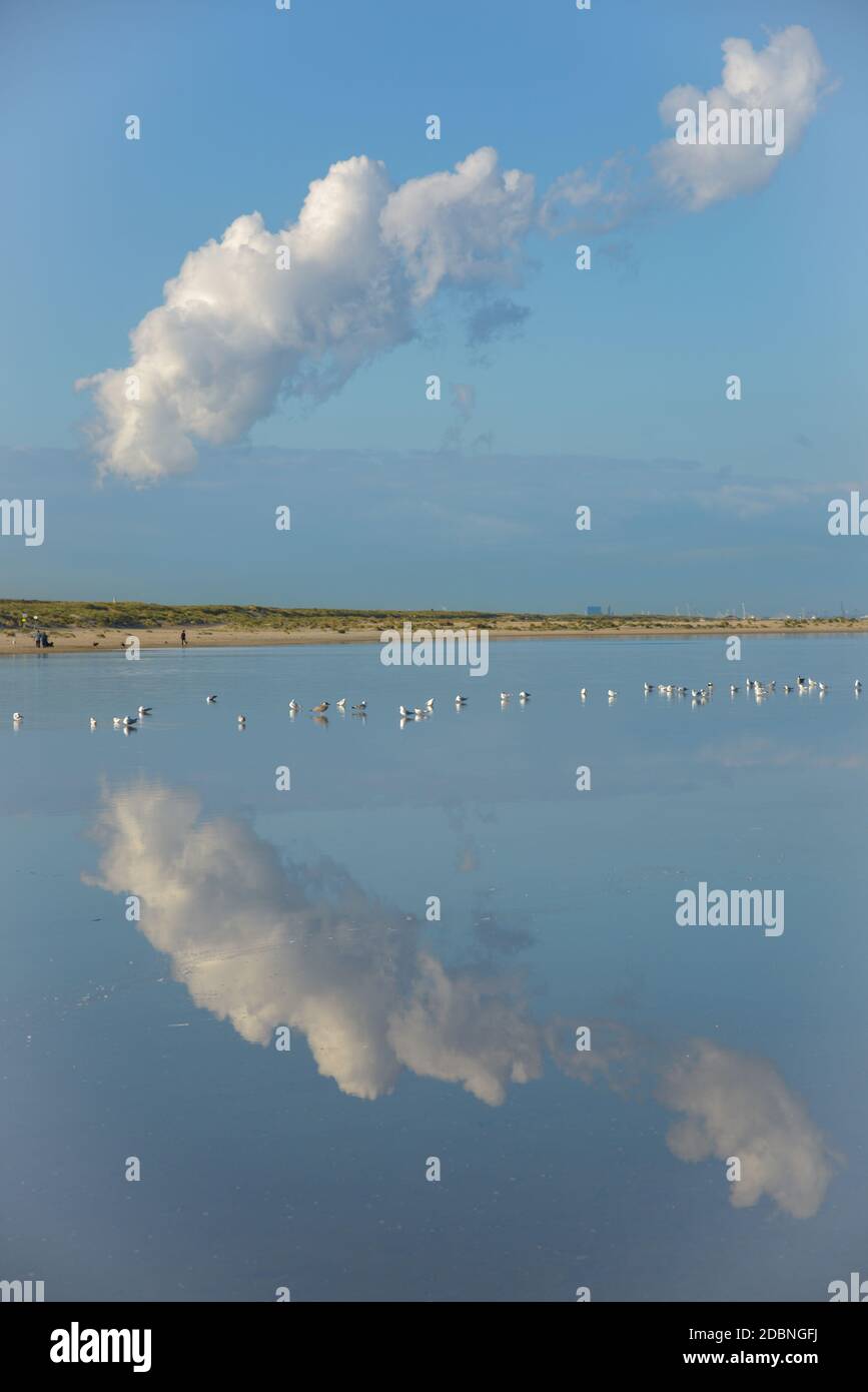 Réflexion de nuages dans l'eau à Zandmotor, Monster, Hollande Banque D'Images