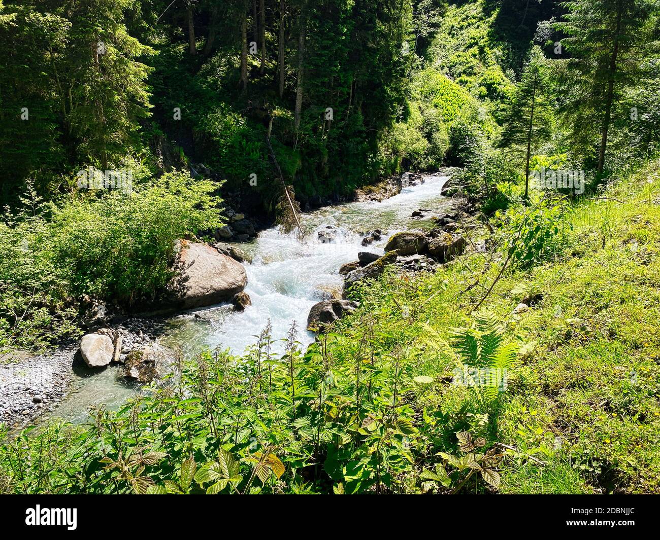 Montagne Stream Alpes européennes, beau paysage de la rivière Habach à Habachtal dans Salzburger Land Banque D'Images