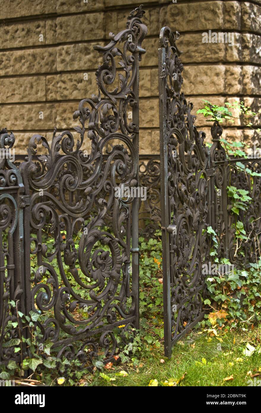 Porte de fer dans un cimetière surcultivé Banque D'Images