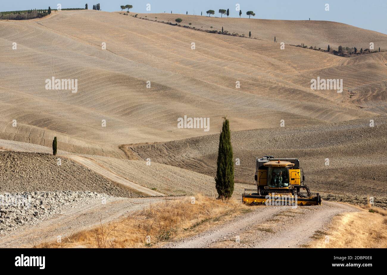 Pienza, Italie - 13 septembre 2011: Moissonneuse-batteuse pendant la récolte et le paysage rural de la Toscane. Italie Banque D'Images