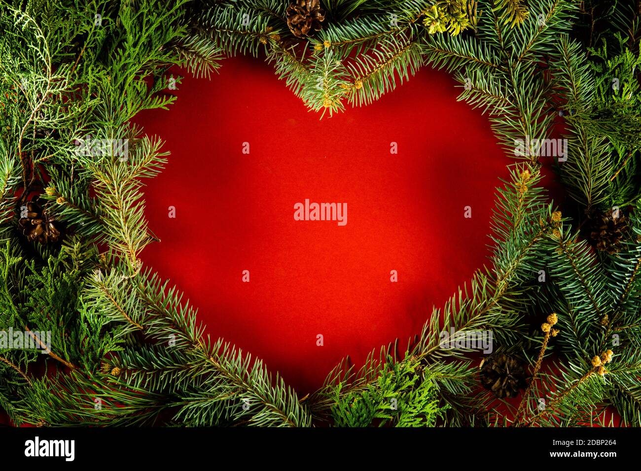 Aménagement créatif avec branches de Noël en forme de coeur. Arrière-plan de Noël nature Banque D'Images