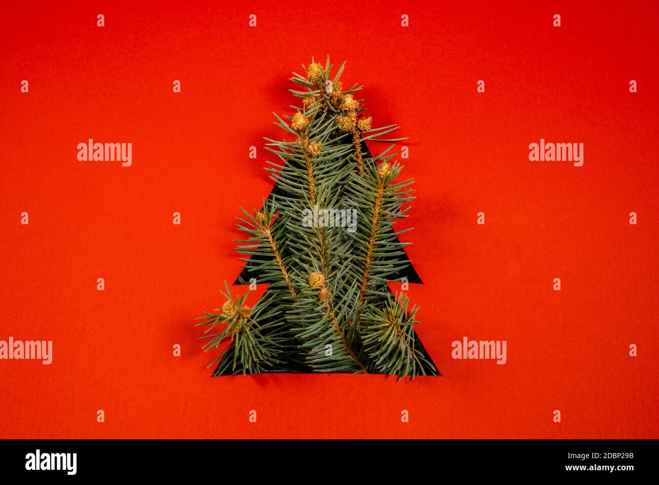 Aménagement créatif avec découpe en forme de pin et branches d'arbre de Noël. Arrière-plan de Noël nature Banque D'Images
