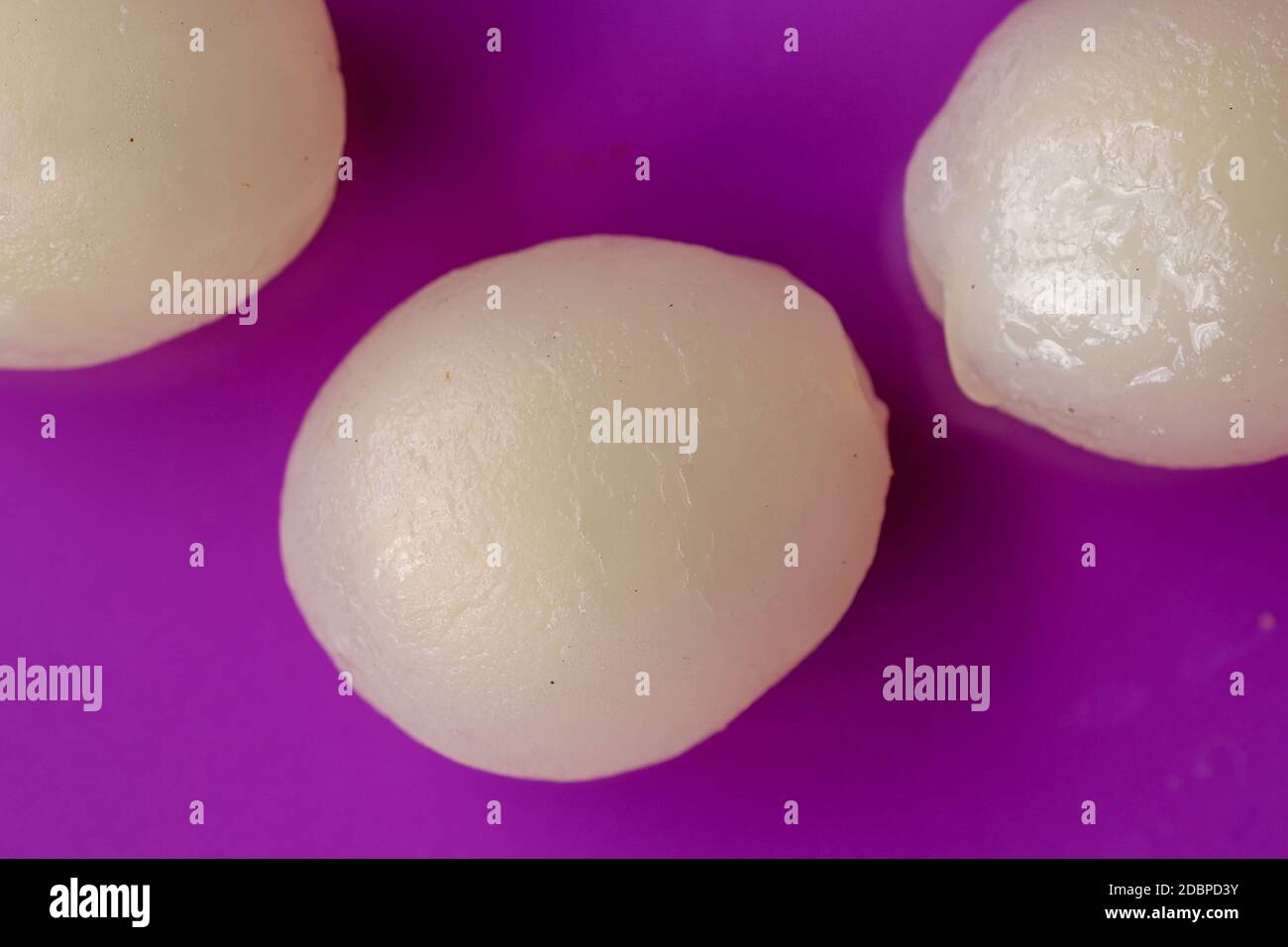 Gros plan de Rambutan aux fruits pelés sur fond violet. Vue de dessus d ...