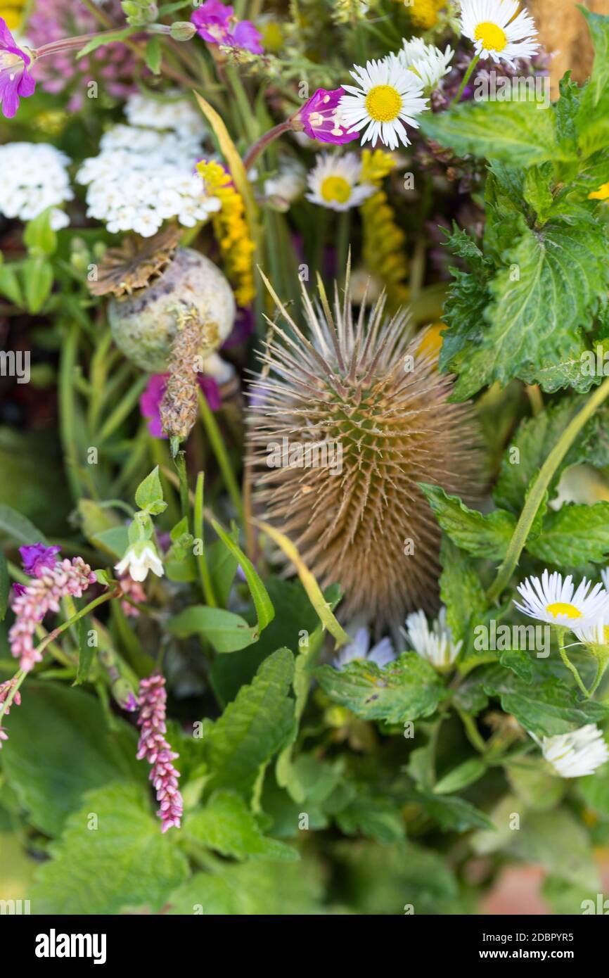 bouquets faits main de fleurs et d'herbes Banque D'Images