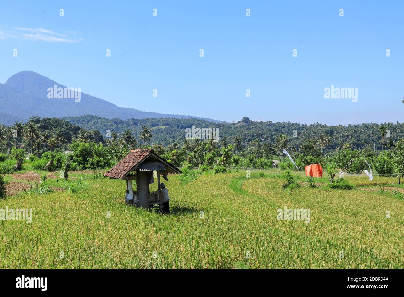 Le fermier se cache du soleil chaud sous un abri dans les champs de riz. Les montagnes s'élèvent en arrière-plan. Banque D'Images