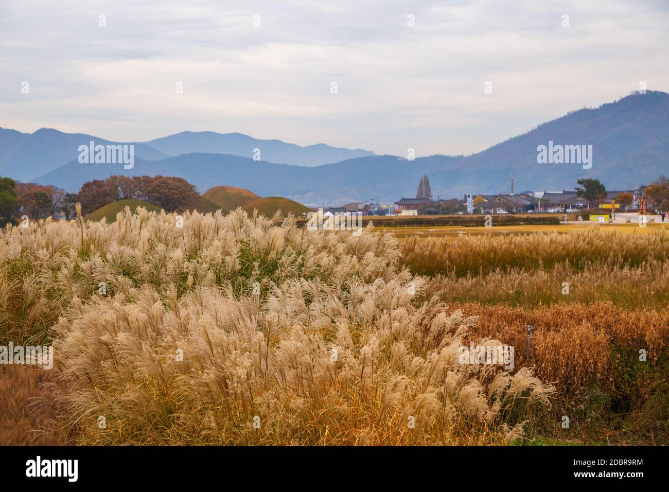 Inwang-dong ancien complexe de tombeau et vieux village à l'automne à Gyeongju, en Corée Banque D'Images