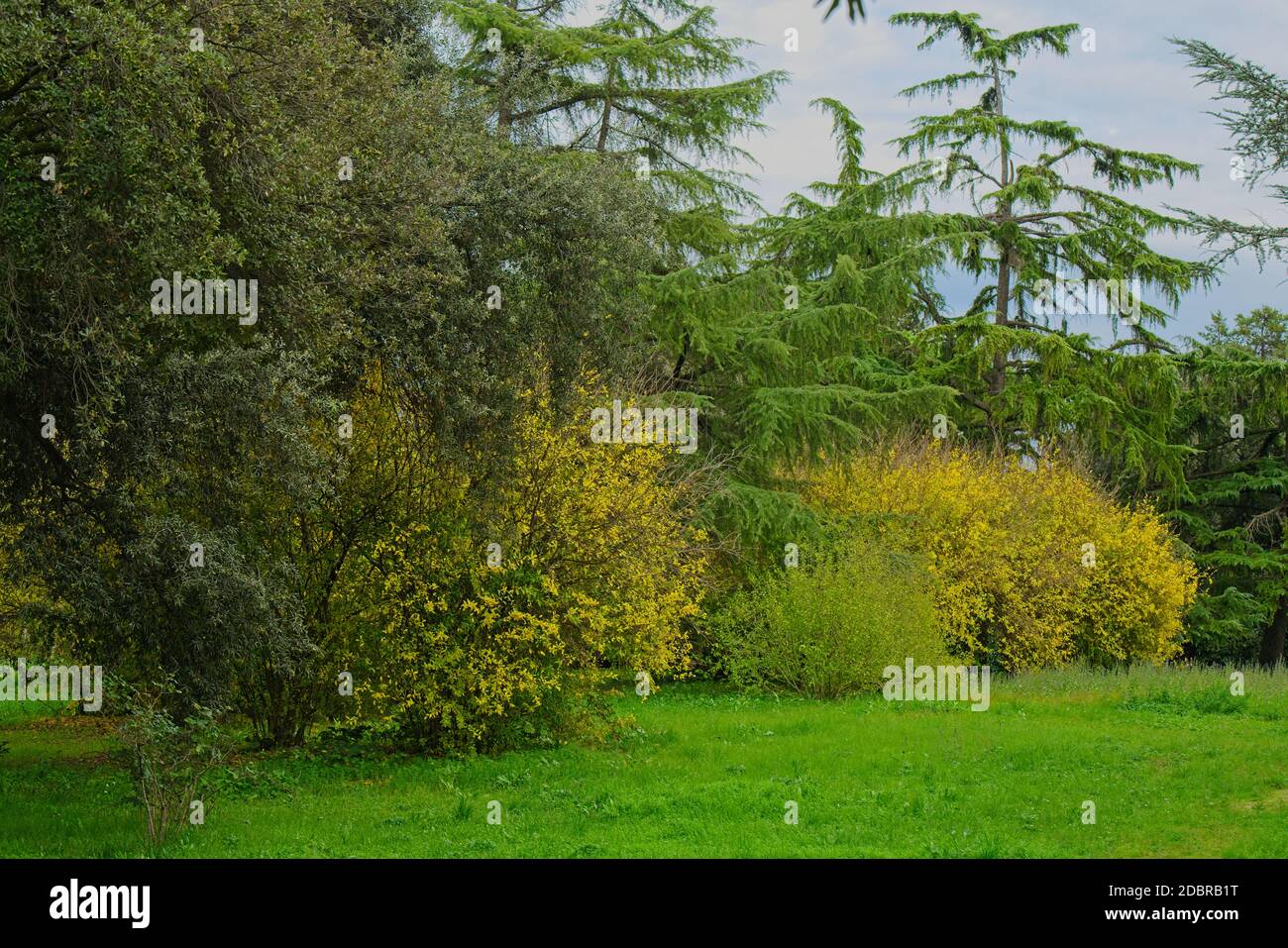 Parco Falcone e Borsellino de la ville de Latina, Italie Banque D'Images