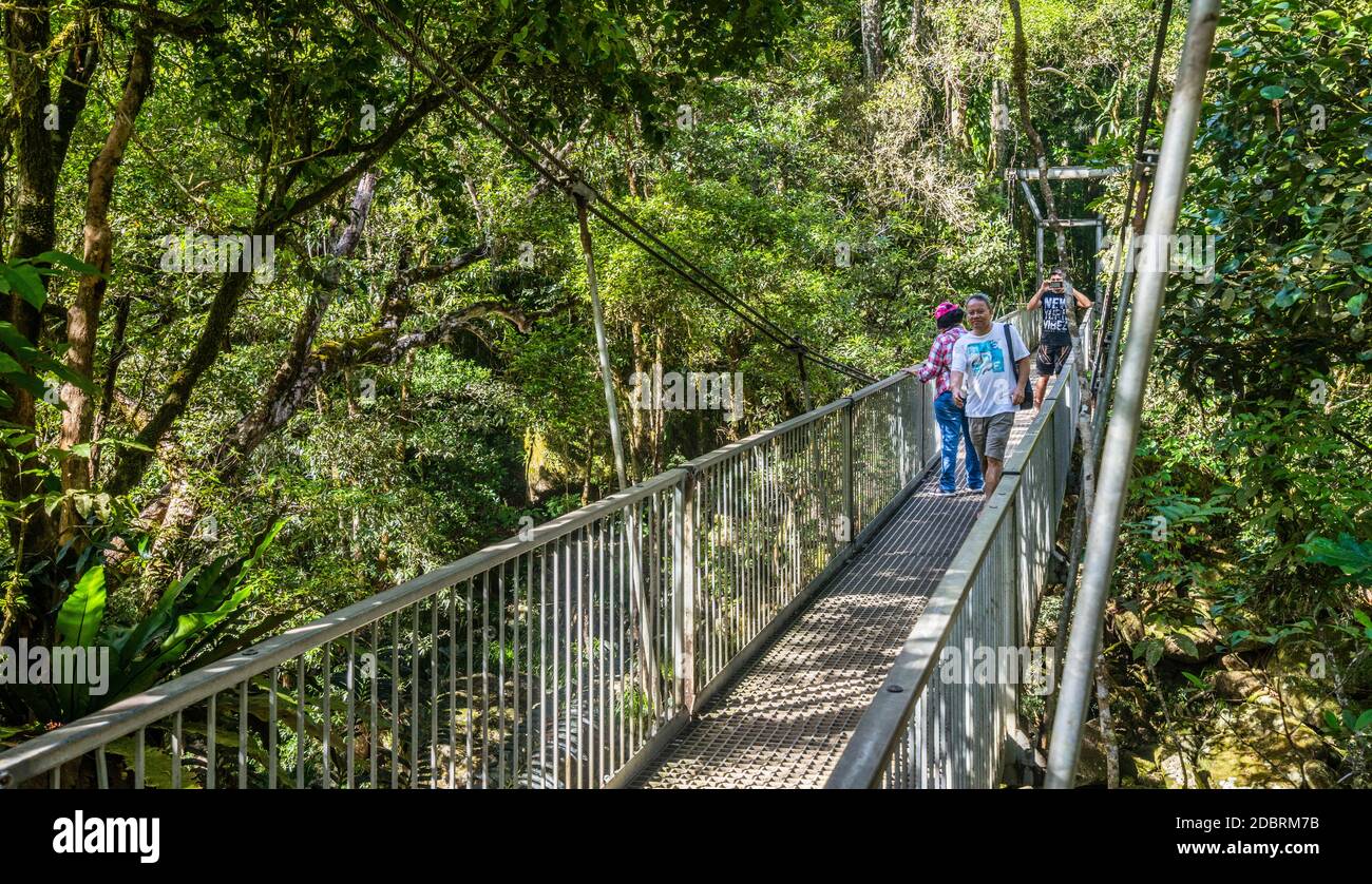 Pont suspendu de Rex Creek à Mossman gorge, dans le parc national de Daintree, dans le nord du Queensland, en Australie Banque D'Images