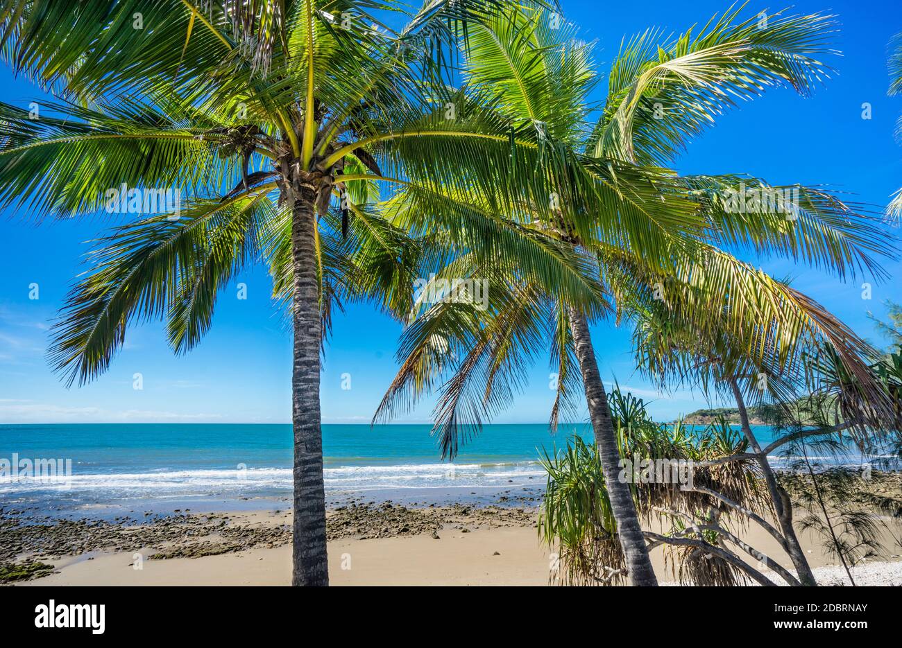 Côte de la mer de corail entre Port Douglas et Cairns, parc marin de la Grande barrière de corail, Queensland du Nord, Australie Banque D'Images