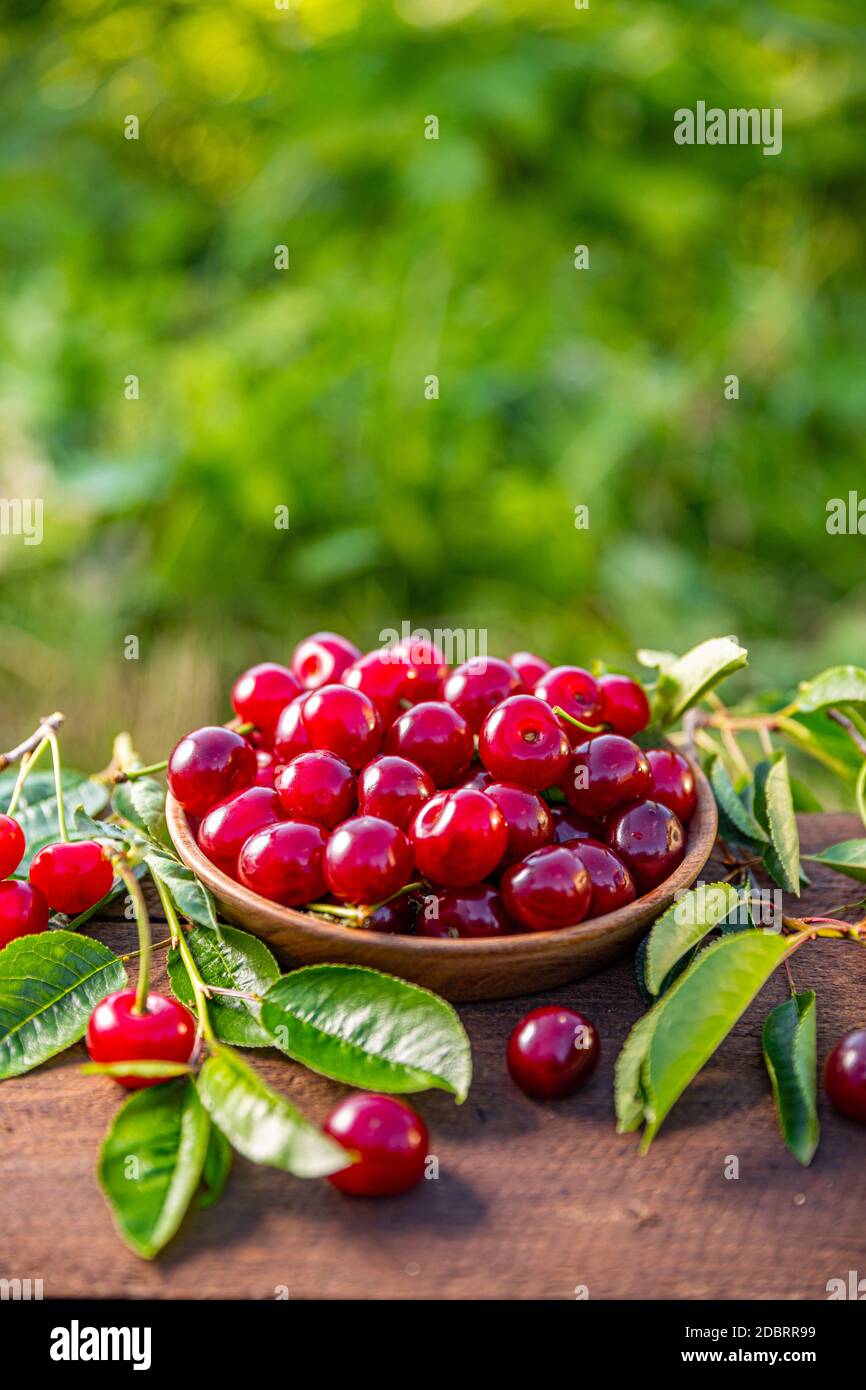 Bol de cerises fraîches mûres sur la table en bois, espace de copie Banque D'Images