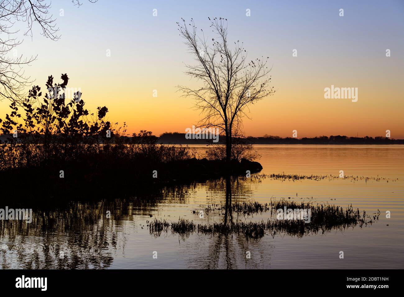 Arbres et buissons silhouettés contre le ciel clair lever du soleil à l'Indien Lake State Park dans l'Ohio Banque D'Images