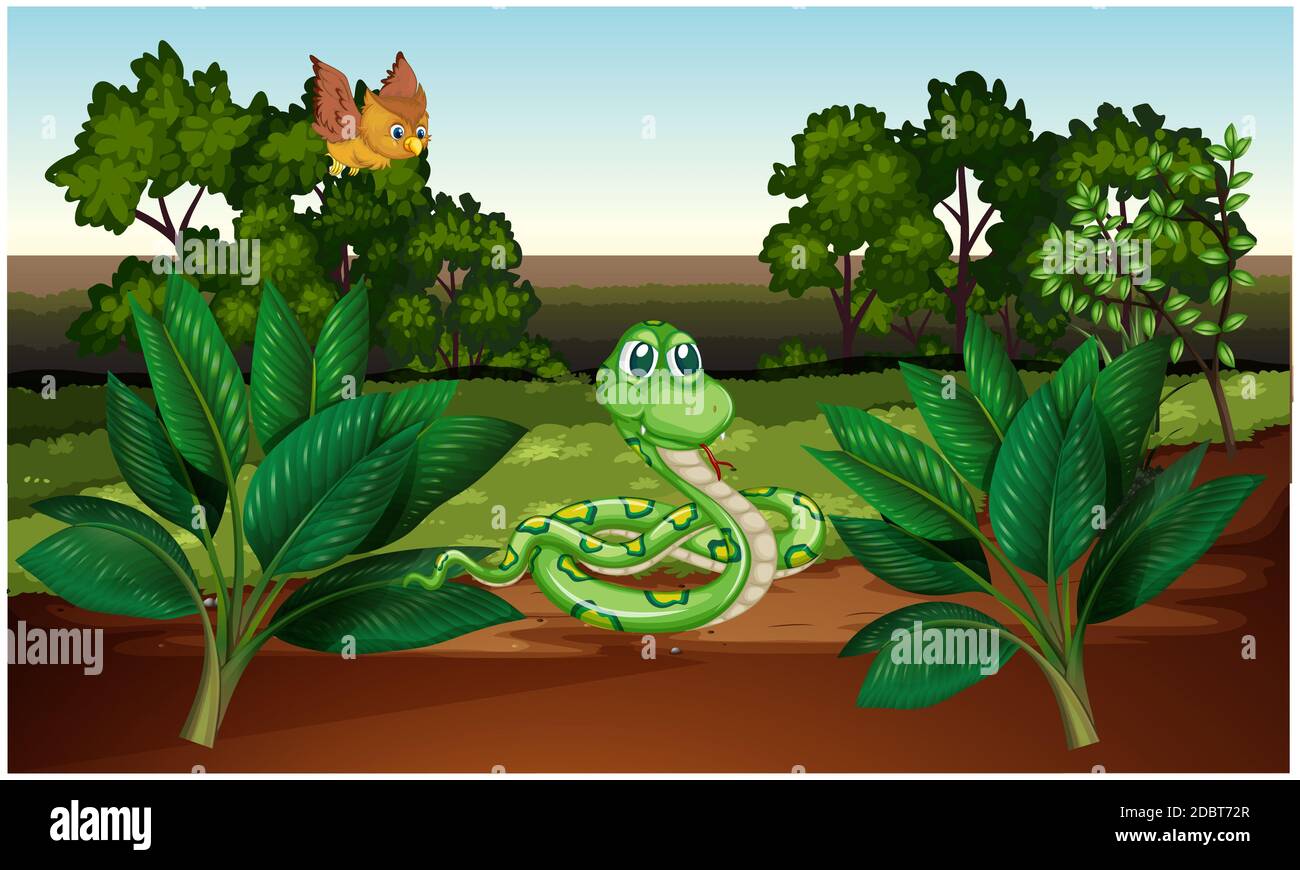 serpent et hibou jouent ensemble dans la forêt Banque D'Images