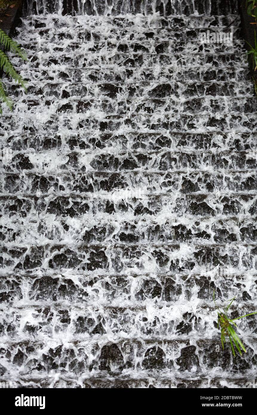 Cascade dans le jardin Tropican du Monte Palace à Funchal, île de Madère, Portugal. Banque D'Images