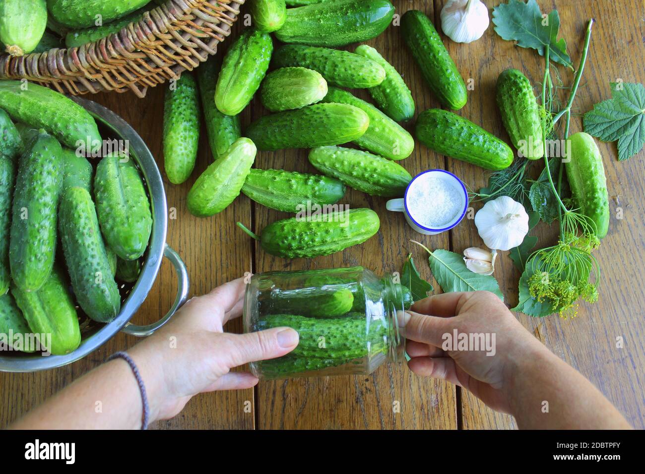 Concombre concept de mise en conserve. Concombres marinés fermentés, bocal en verre d'aneth dans la main des femmes . Banque D'Images