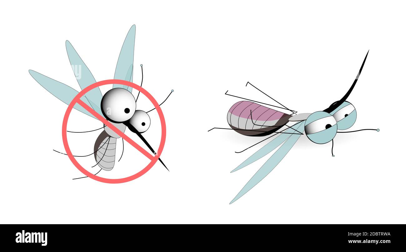 Les moustiques sont porteurs d'infections. Insectes ailés. Illustration de moustique d'insecte, moustique et ravageur pour l'hydrofuge, les pulvérisations et les patchs publicitaires, affiche Banque D'Images