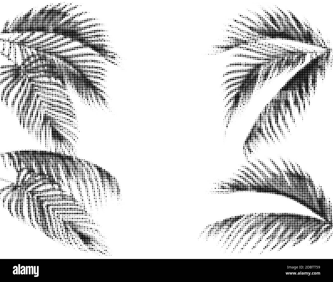 Diverses feuilles de palmier tropicales. Motif à pois stylisés exécution en noir et blanc. Isolé sur fond blanc. Illustration vectorielle Banque D'Images