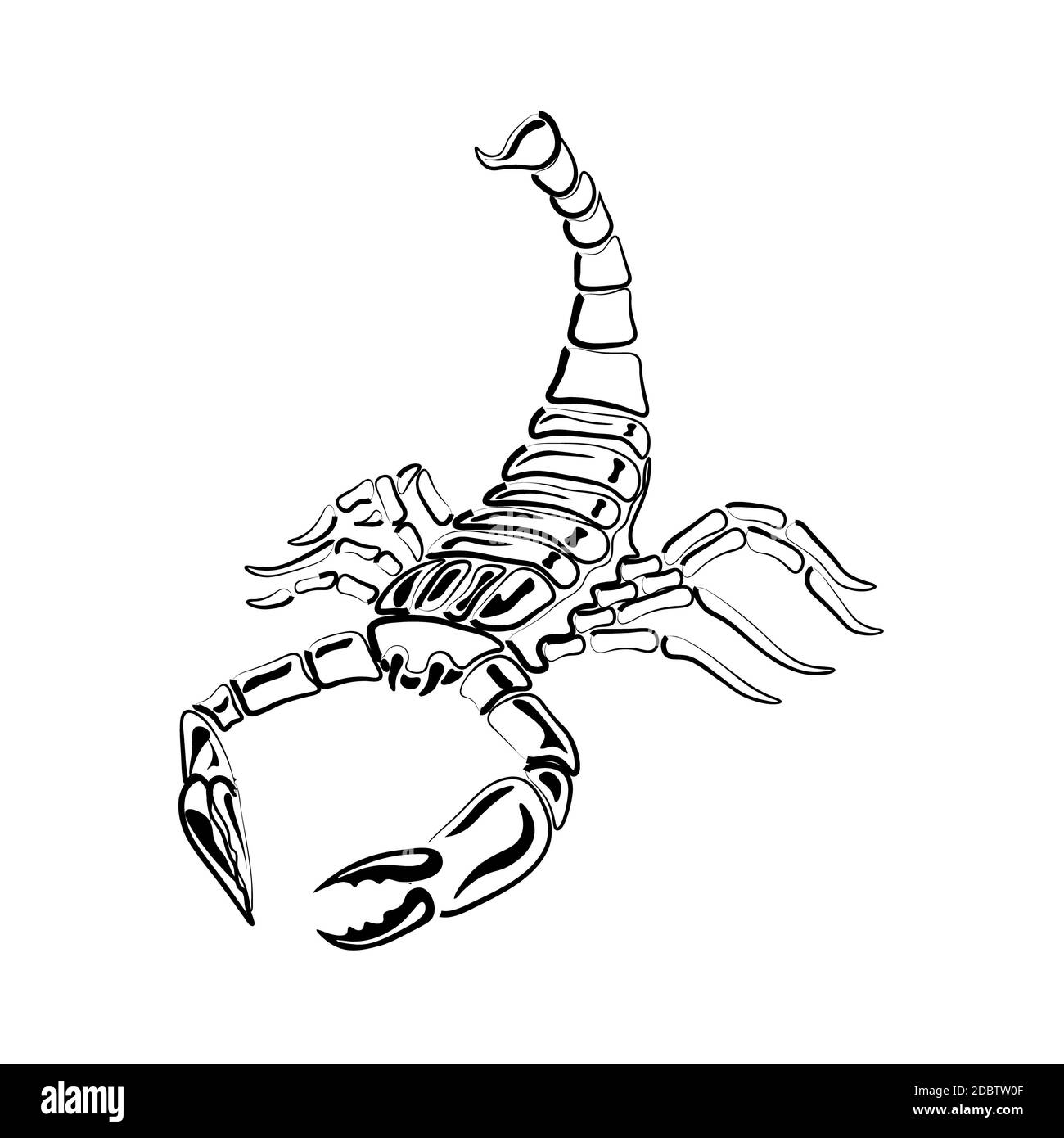 Scorpion noir et blanc pour tatouages, signe zodiaque, illustration vectorielle Banque D'Images