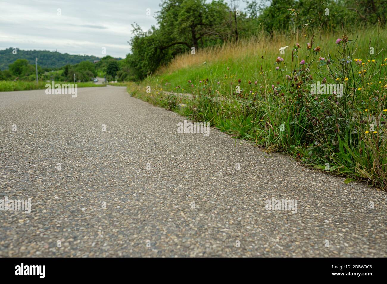 Route avec fleurs fleuries au trottoir Banque D'Images
