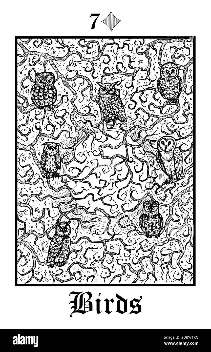 Oiseaux. Carte de Tarot du vecteur Lénormand Gothique Mystères oracle deck. Illustration gravée en noir et blanc. Dessin d'art de ligne mystique et fantaisie. Goth Illustration de Vecteur