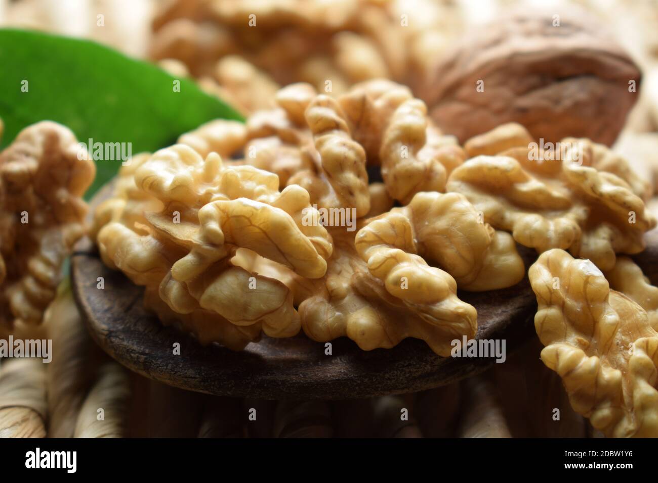 Gros plan sur les noix mûres Banque D'Images