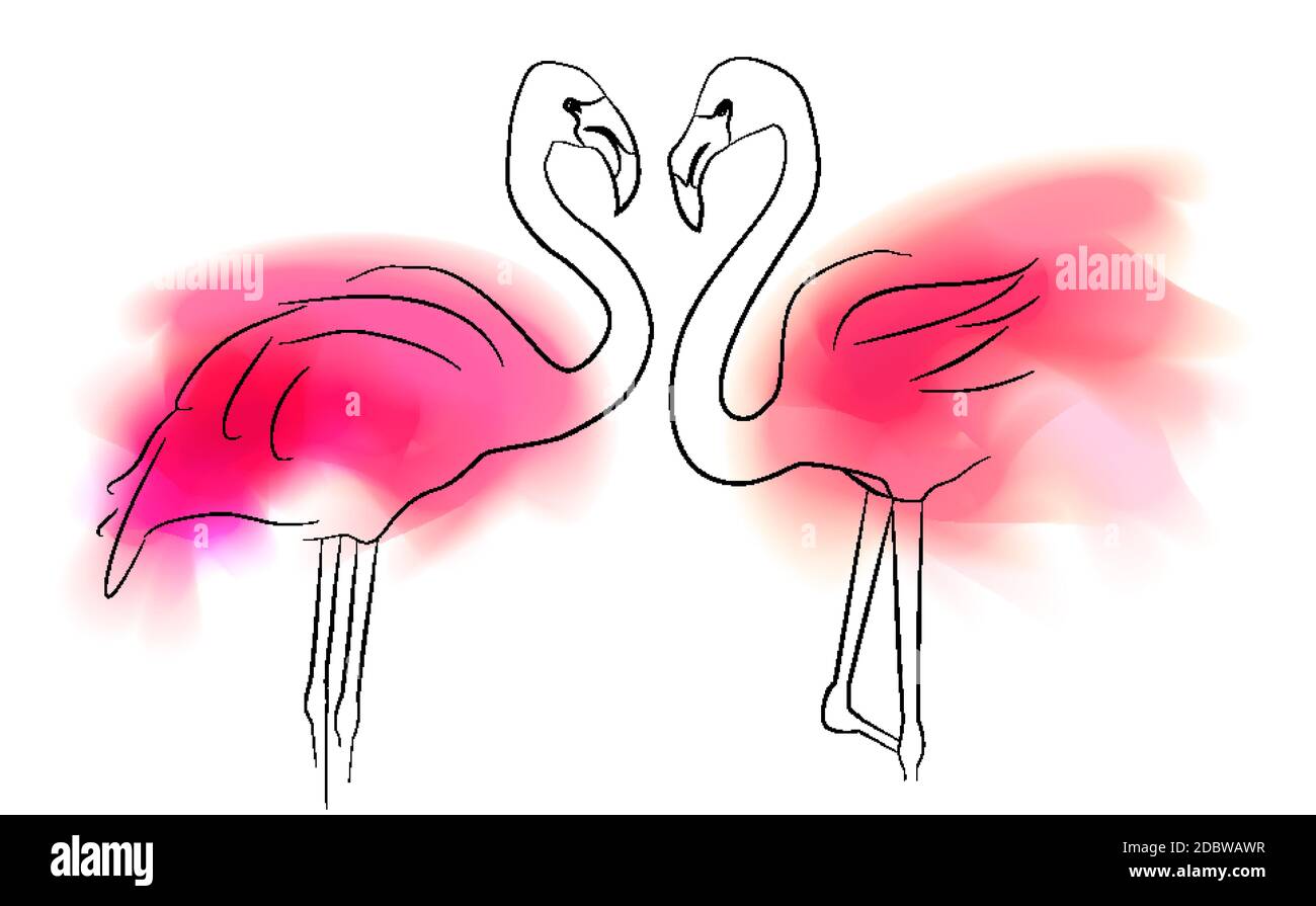 Illustration de la paire de flamants roses sur fond blanc. Amour dans la relation. Oiseau de famille de contour. Carte vectorielle pour bannière, i Illustration de Vecteur