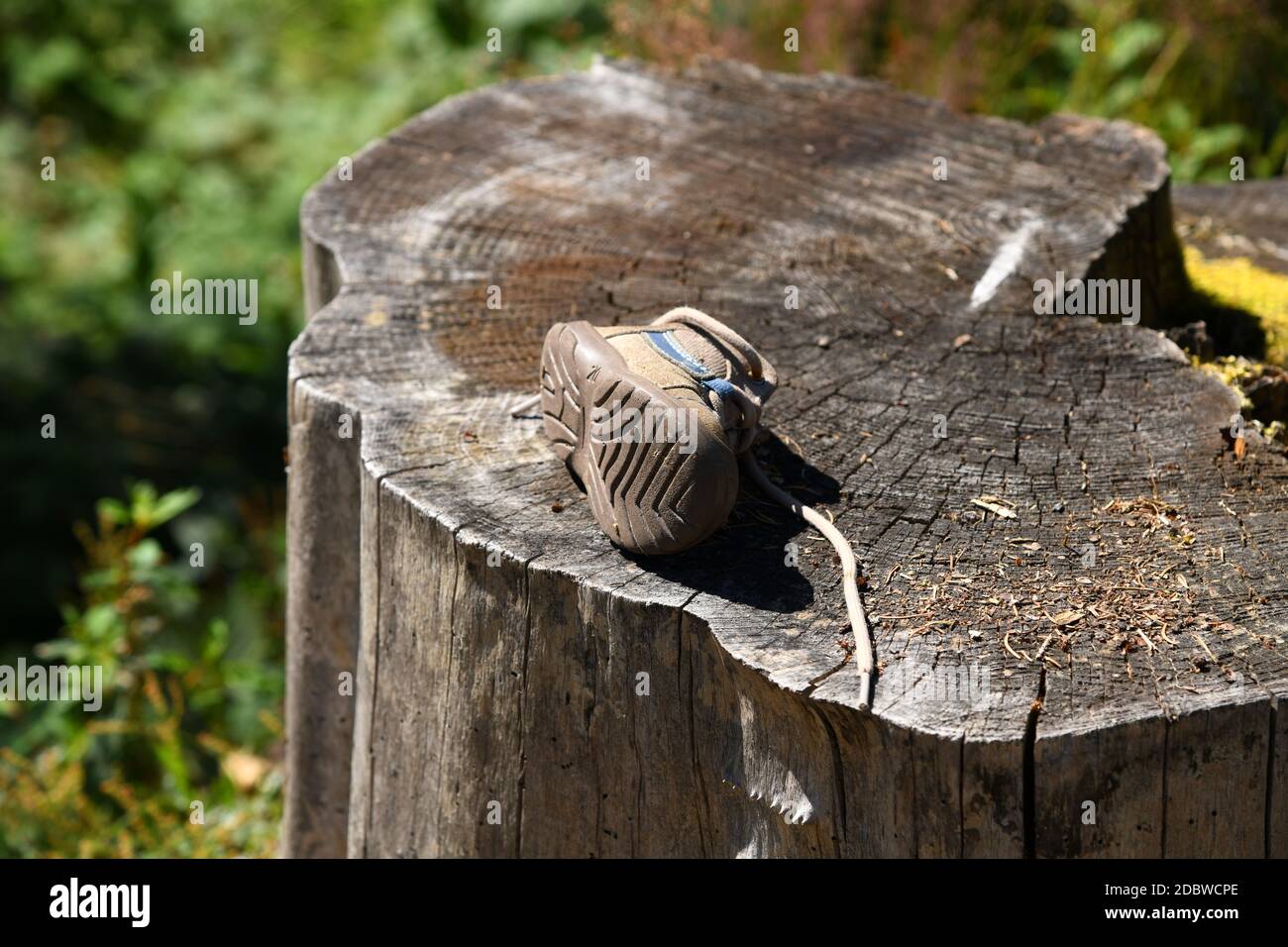 Chaussures oubliées pour enfants sur un tronc d'arbre Banque D'Images