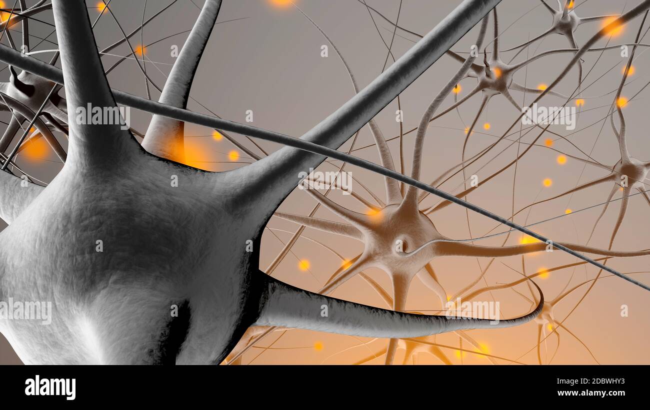 Rendu 3D Illustration d'un réseau de cellules de neurones biologiques ...
