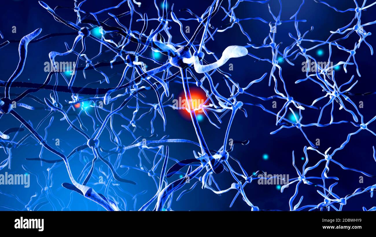 Rendu 3D Illustration d'un réseau de cellules de neurones biologiques transmettre des signaux. Banque D'Images