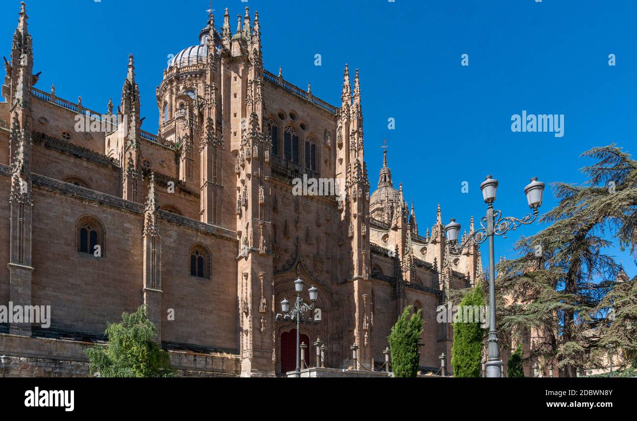 Cathédrale dans la ville de Salamanque, Espagne Banque D'Images