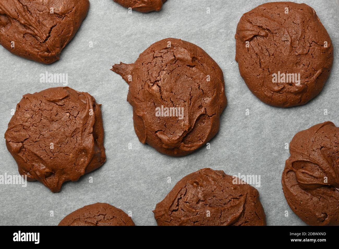 Gros plan de plusieurs biscuits ronds au chocolat au brownie fraîchement cuits sur du papier de cuisson, vue en hauteur, juste au-dessus Banque D'Images